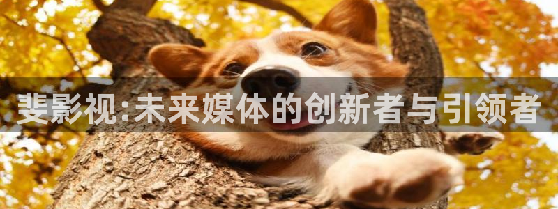 樱花小视频在线观看电视剧高清：斐影视:未来媒体的创新者与引领者