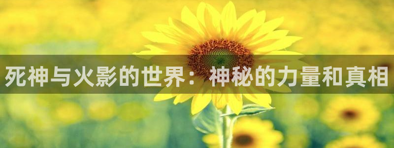 樱花和太郎3d在线观看第二十集：死神与火影的世界：神秘的力量和真相