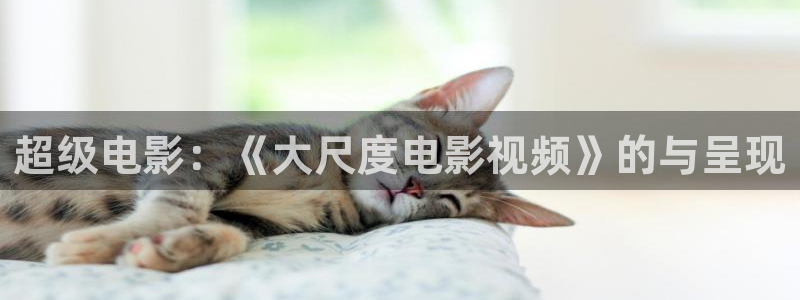 一念永恒在线樱花：超级电影：《大尺度电影视频》的与呈现
