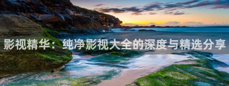 樱花动漫网站在线：影视精华：纯净影视大全的深度与精选分享